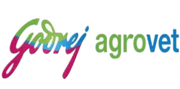 JKMT briquetting machine client